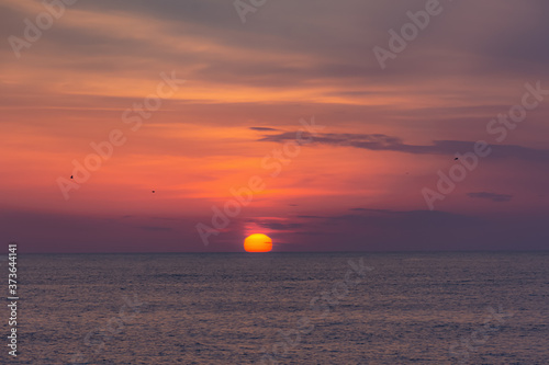 Fototapeta Naklejka Na Ścianę i Meble -  Pink sunset on the sea. The huge red sun sets on the horizon. Empty horizon. Scarlet clouds and gulls in the sky. Colorful natural background