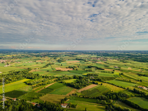 Friuli Venezia Giulia typical landscape, Udine province, Italian countryside from drone, aerial shot, vineyards hills 