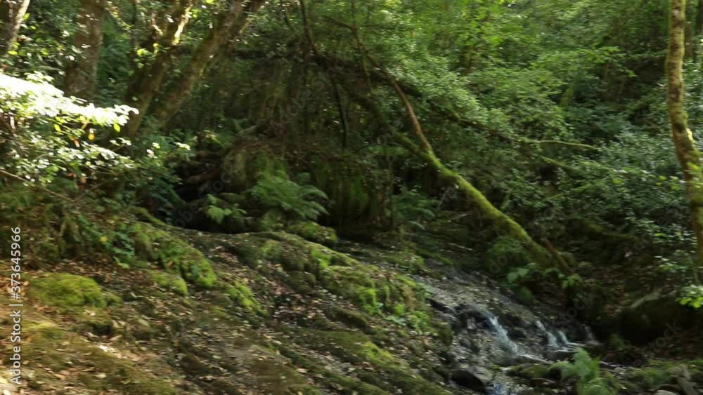 stream in the sil canyon, natural reserve and world heritage site in the ribeira sacra, ourense, galicia, spain stream in the sil canyon, natural reserve and world heritage site in the ribeira sacra, ourense, galicia, spain