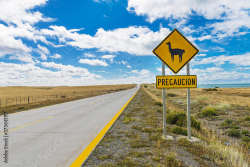 Sign of Lama warning near Chilean road