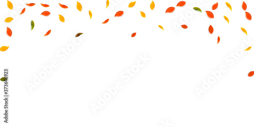 Falling autumn leaves. Red, yellow, green, brown r