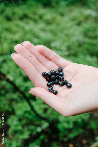handful of blueberries © DaliCeMedia
