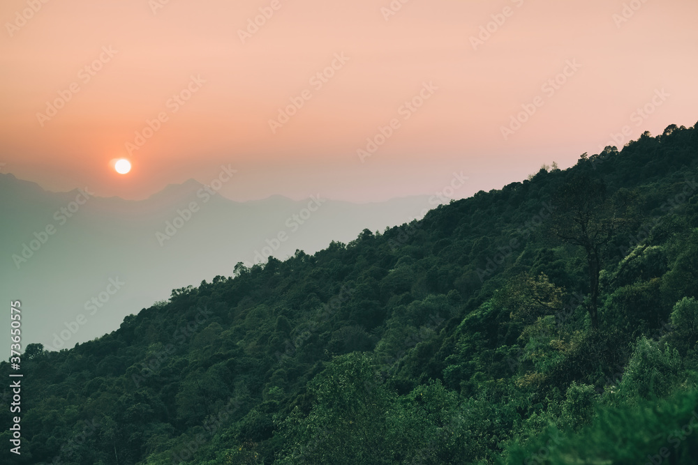 sunset view from the mountain top.photo has focused on a tree branch and partly blur on other subject