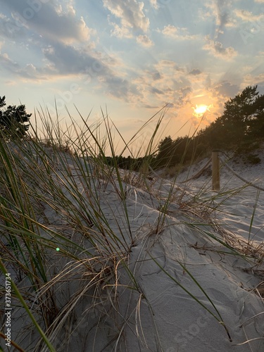 sunset on the sand dune with grass