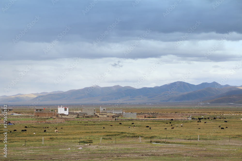 View of the mountains, Tibetan house, grassland and yaks in a cloudy day, Tibet, China