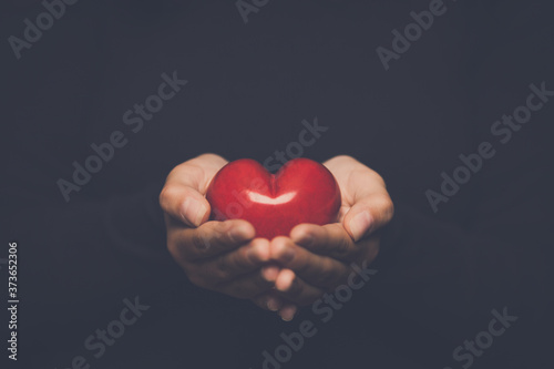Fototapeta Naklejka Na Ścianę i Meble -  hands protect a heart