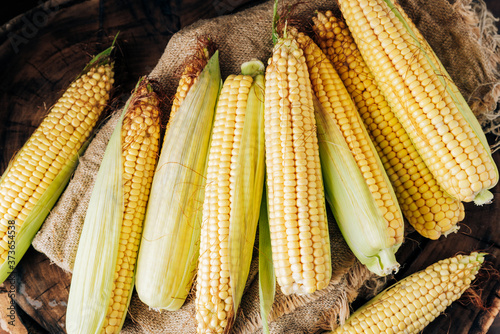 Fresh corn on the cob on a brown natural wood background close up