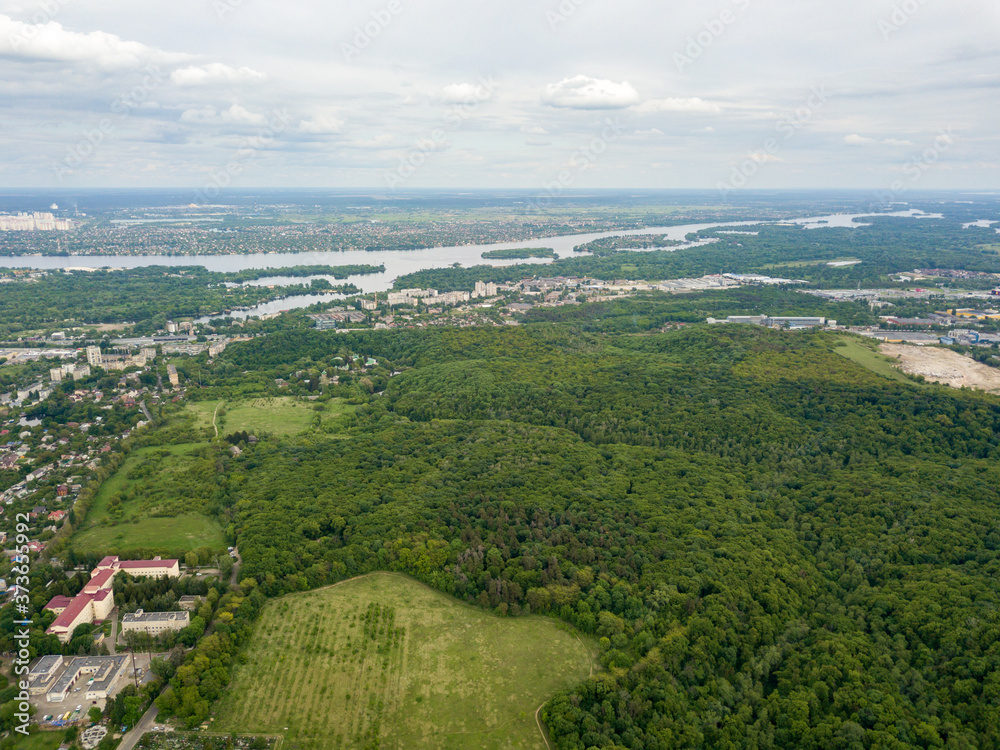Obraz premium Aerial drone view. Green spring forest