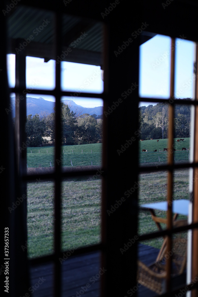 Looking through a cabin window at a peaceful pasture Looking through a cabin window at a peaceful pasture
