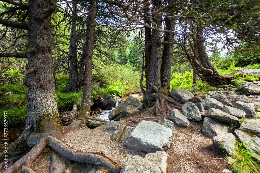 Waterfall green forest river stream landscape Waterfall green forest river stream landscape
