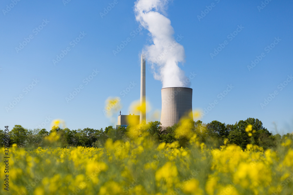 Kohlekraftwerk mit Kühlturm und Raps im Vordergrund Kohlekraftwerk mit Kühlturm und Raps im Vordergrund