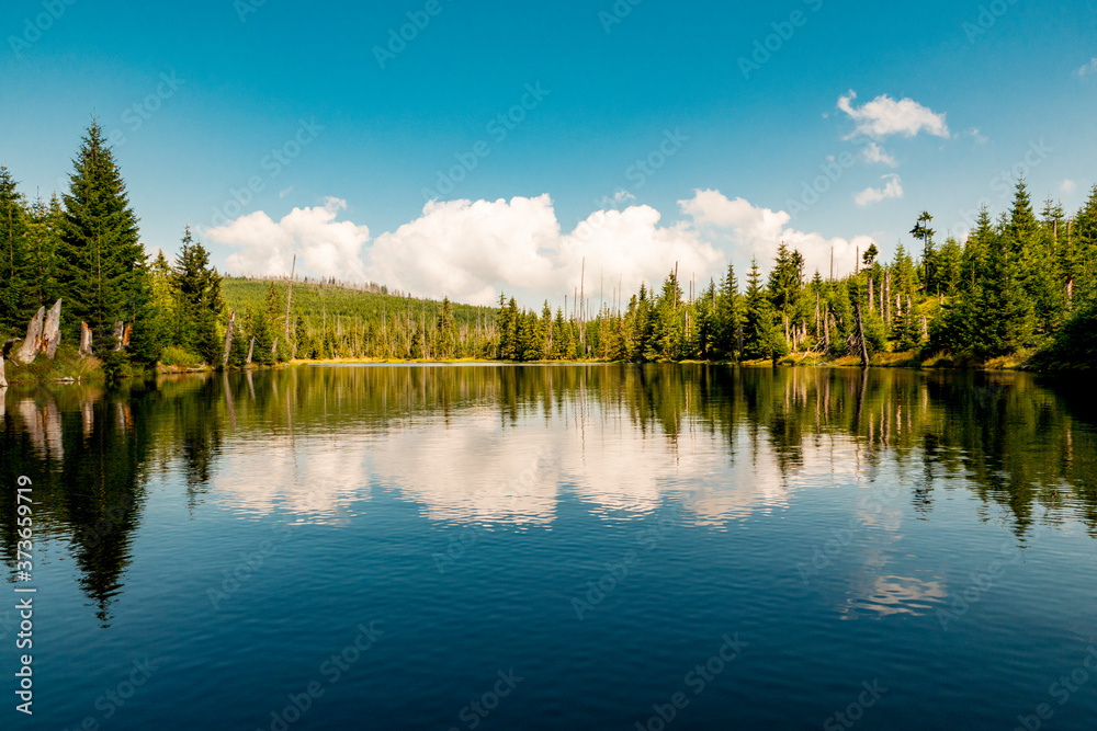 Reservoir with beautiful reflection of the blue sky with clouds and forest