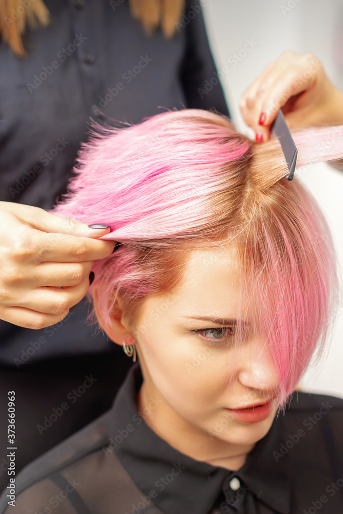 Fototapeta premium Hairdresser straights pink hair of young woman by hair iron in hairdress salon