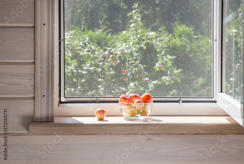 White window with mosquito net in a rustic wooden house overlooking the garden. Organic apples in bowl on windowsill.
