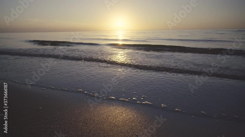 Wallpaper Mural Sunset on the sandy beach of the Baltic Sea in Latvia. Small insects fly against the background of the sun disk above the horizon. Clear sky without clouds. Time lapse Torontodigital.ca