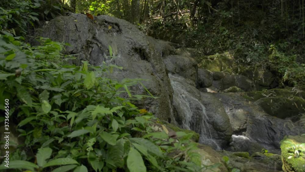 Reveal of small waterfall flowing through the rock among lush foliage vegetation. Fresh water flows from cascade in tropical forest during summer. Sa Nang Manora Forest Park. Thailand. Reveal of small waterfall flowing through the rock among lush foliage vegetation. Fresh water flows from cascade in tropical forest during summer. Sa Nang Manora Forest Park. Thailand.