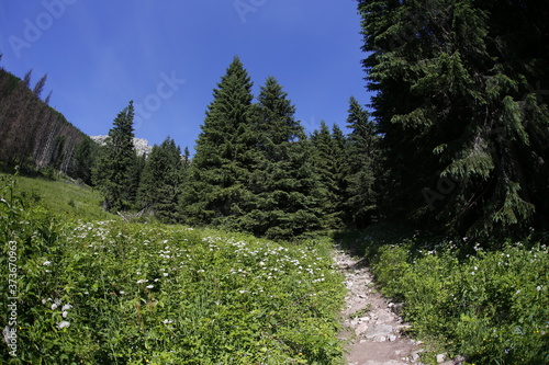 Western Tatra Mountains in the summer