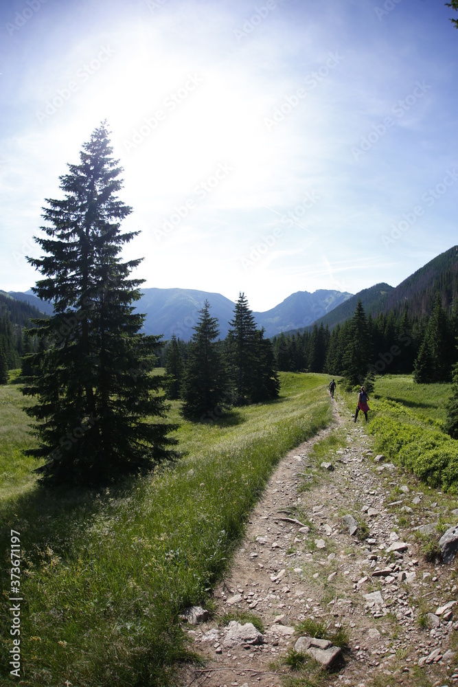 Western Tatra Mountains in the summer Western Tatra Mountains in the summer