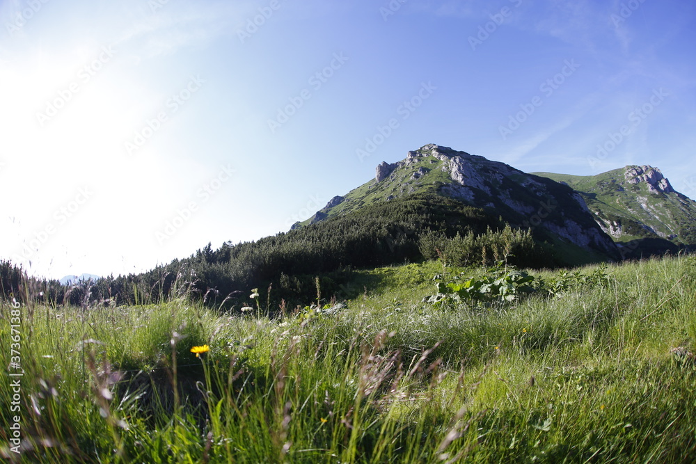 Fototapeta premium Tomanowa Przełęcz, Western Tatras