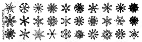 A set of monochrome snowflakes. Vector illustration