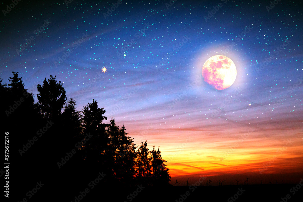 Landscape with black trees and full moon. Dark night sky. Landscape with black trees and full moon. Dark night sky.