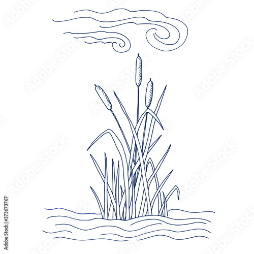 Art & Illustration. Stylized drawing of cattail in the water with clouds. Legends of Egypt.