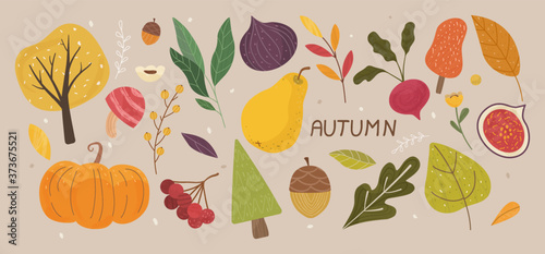 Autumn Vibes Concept. Set of trendy hand drawn autumn objects, fruits, vegetables, leaves. All elements are isolated and well drawn. Autumn mood. Colorful Cartoon Flat Vector Illustration