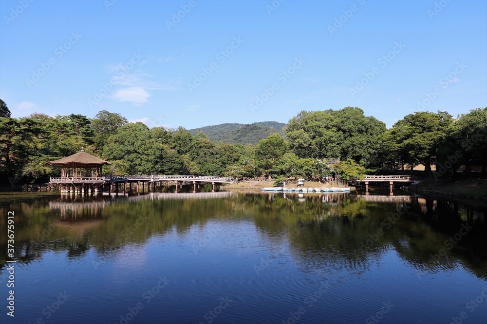 夏の奈良公園