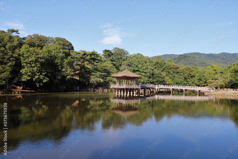 夏の奈良公園