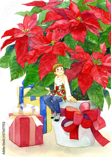 Poinsettia and a fairy girl with gift boxes