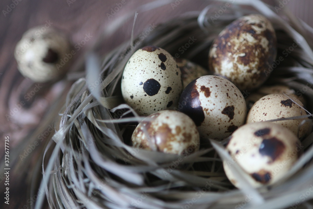 quails eggs in the nest on a wooden background