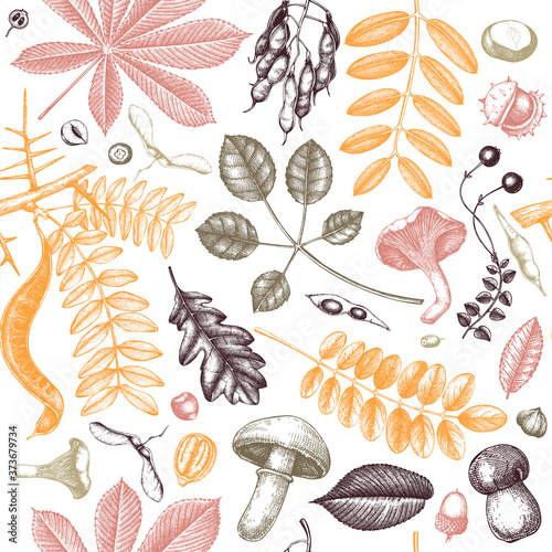 Autumn leaves seamless pattern. With hand sketched forest plants, pumpkins,nuts, berries, mushrooms illustrations. Perfect for invitation,  textile, wrapping, packaging. Elegant autumn backdrop