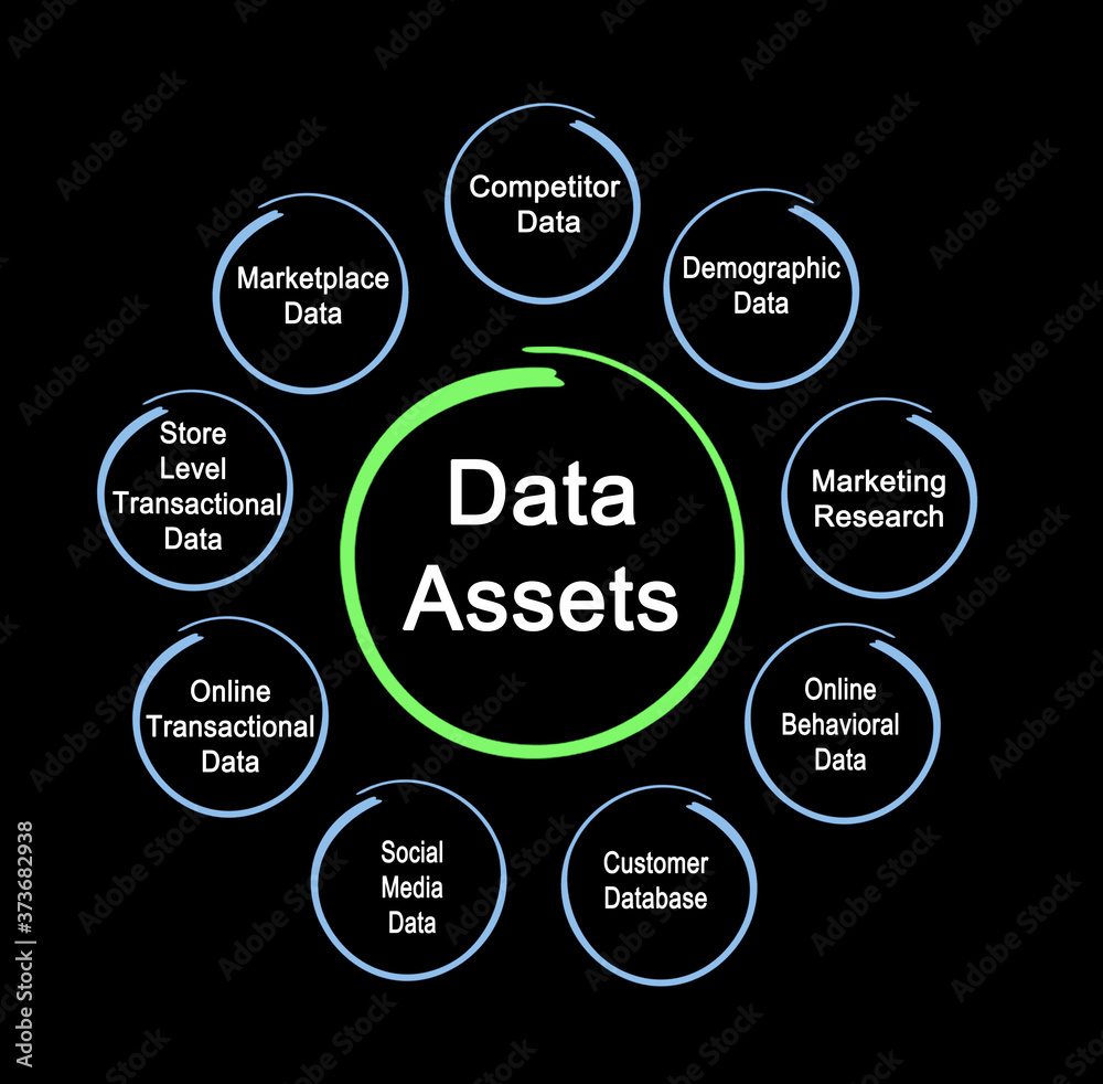 Nine Kinds of Business Data Assets