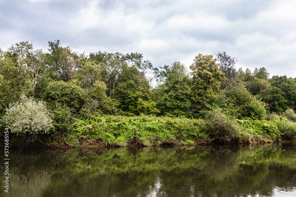 View of the opposite shore with lush forest vegetation