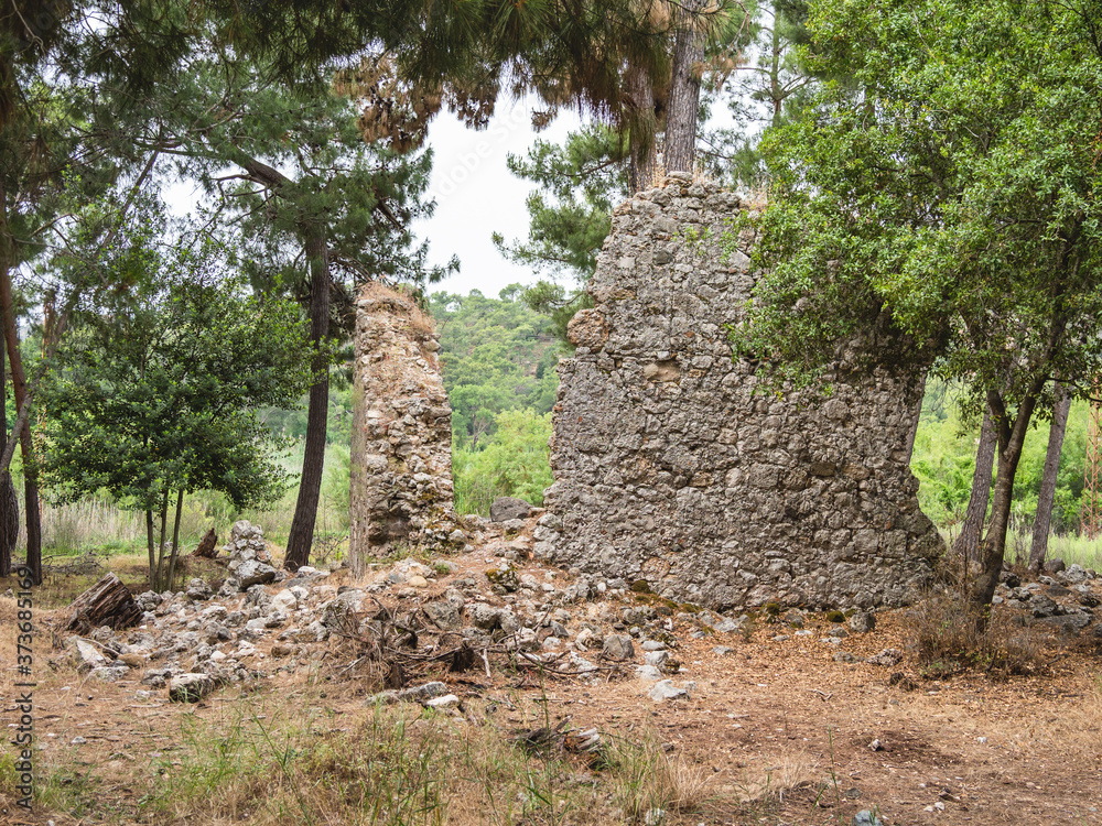 Ruins of Phaselis, Greek and Roman city on the coast of ancient Lycia. Architectural landmark near modern town Tekirova in the Kemer district of Antalya Province in Turkey.