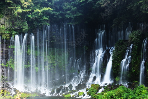 Fototapeta Naklejka Na Ścianę i Meble -  富士山の夏　天下の名瀑　白糸の滝　絹のような水流