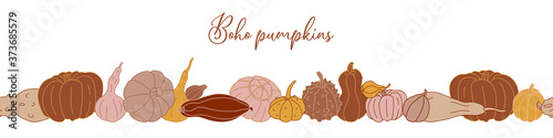 Vector seamless border with different varieties of pumpkins in boho color style. Autumn and crop theme.