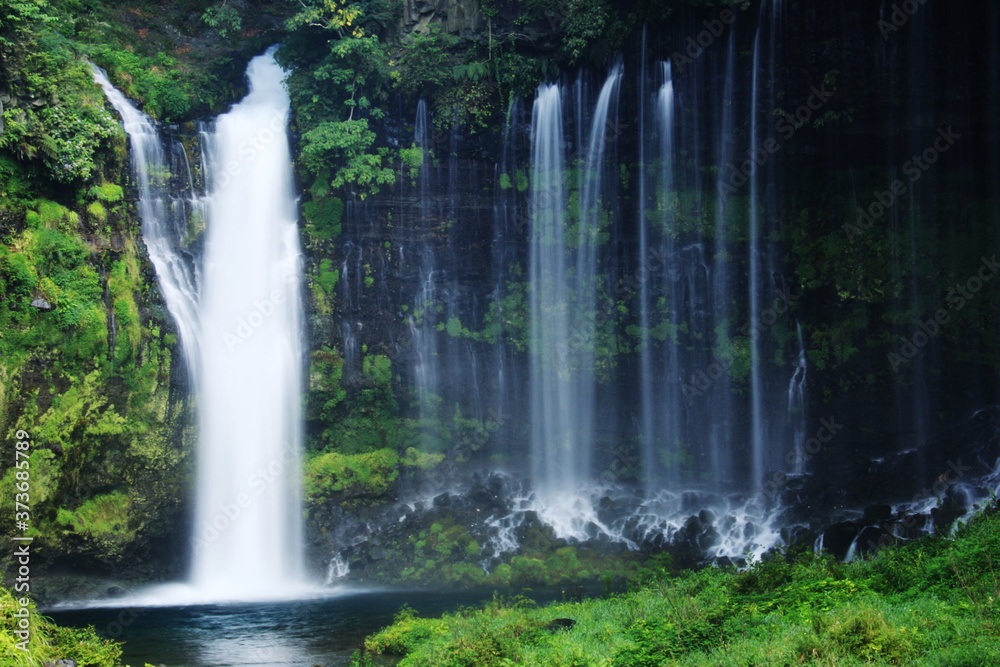 Fototapeta premium 富士山の夏 天下の名瀑 白糸の滝 絹のような水流
