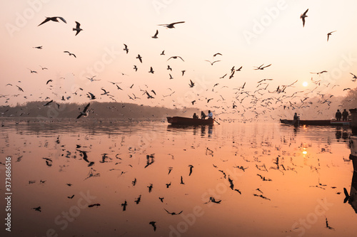 Reflections from yamuna ghat, Delhi.
Migratory birds come to delhi in winters. The reflection created by these birds flying is worth a site.