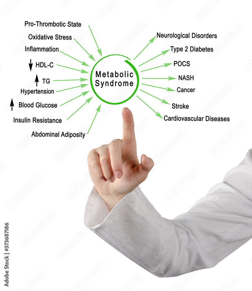 Woman presenting causes and effects of Metabolic Syndrome Woman presenting causes and effects of Metabolic Syndrome