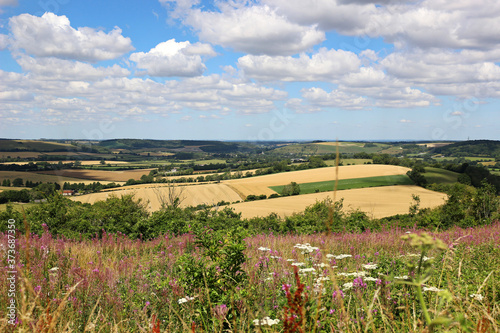 A summer view of the South Downs from Butser Hill, Hampshire photo