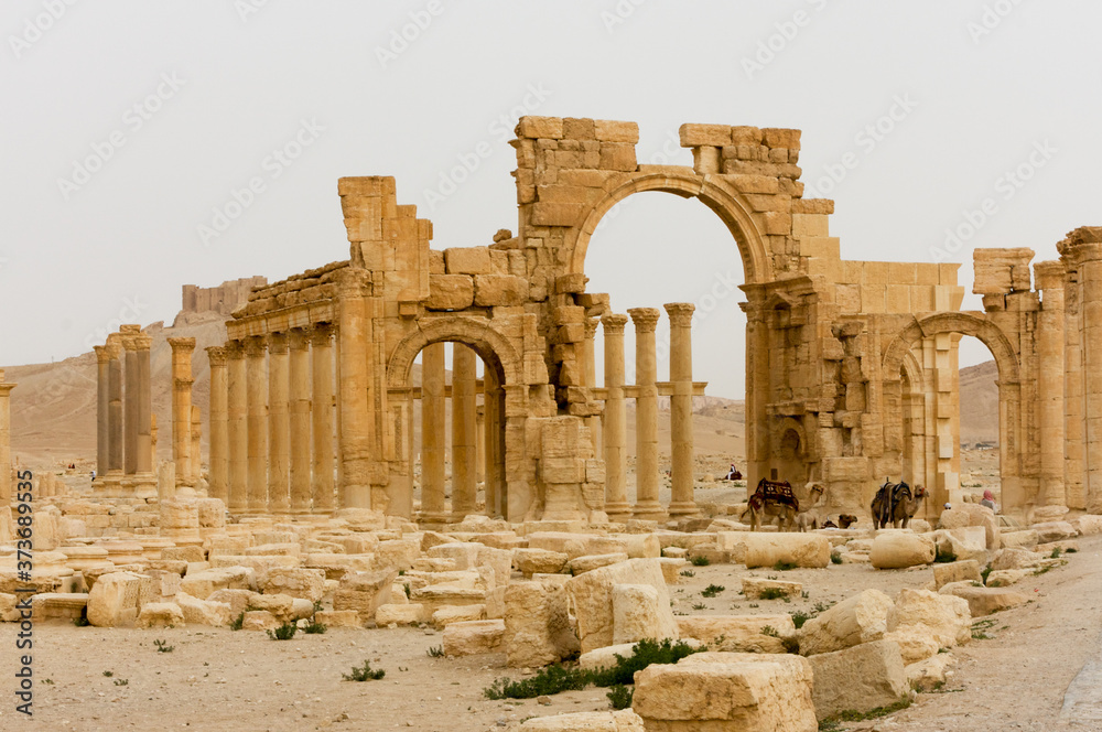 Obraz premium Palmyre Syria 2009 The ruins of an ancient city dating from the Roman period