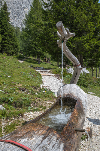 Fotografie Water trough for feeding animals at the source of the river Piave