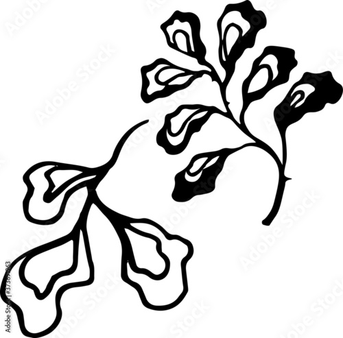 Wallpaper Mural Single image of cute vector plants. Concept design for decoration. Torontodigital.ca