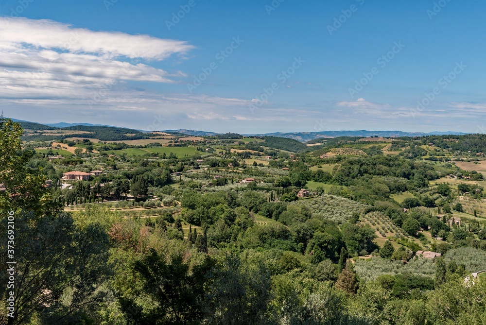 Die Toskana und ihre Olivenbäume bei Montepulciano in Italien 