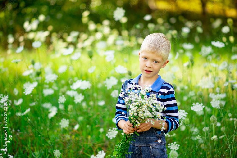 happy boy on the field with flowers holding a bouquet of flowers, children's lifestyle happy boy on the field with flowers holding a bouquet of flowers, children's lifestyle