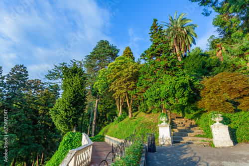 Beautiful view of Batumi Botanical Garden is located near Batumi