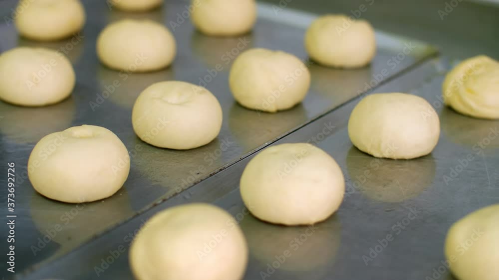cooking. bakery products. close-up. blanks of raw yeast dough for buns lie on a pan, greased with vegetable oil. health food. safety concept. reopening canteen. volunteering and charity