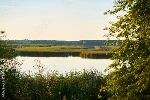 Landscape of the river and blue sky with tree foliage in the foreground during sunset