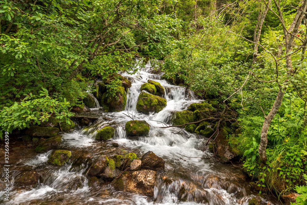 small waterfalls in the forest small waterfalls in the forest